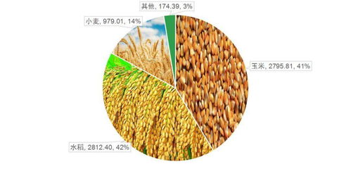 實用指南 中國最全農業大數據之谷類作物應用