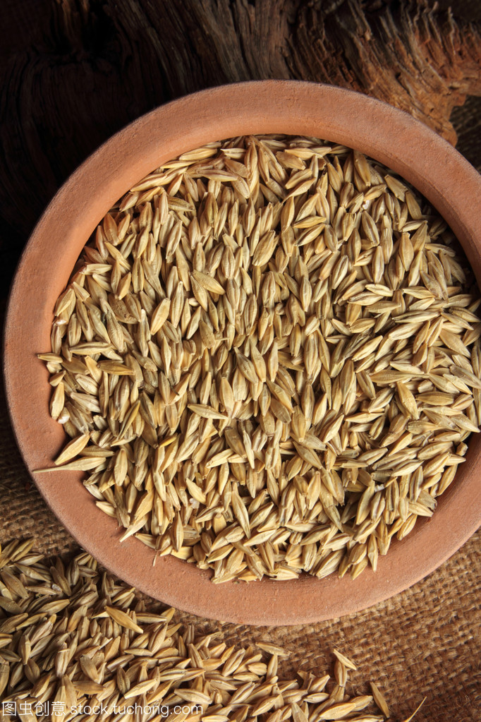 谷類植物與谷類作物 人類文明的基石