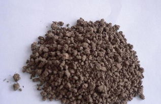 氮磷鉀肥料科學施用全解析 助您增產增收，谷物加工產品品質更優